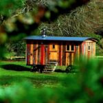 Why are tiny homes more sustainable than traditional houses?