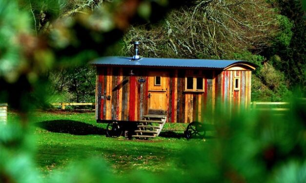 Why are tiny homes more sustainable than traditional houses?