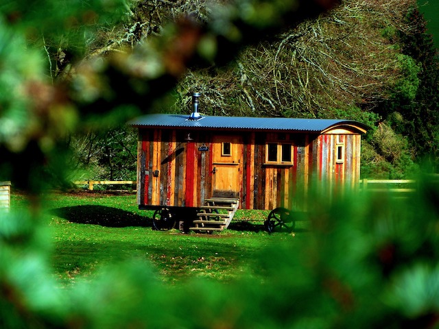 Why are tiny homes more sustainable than traditional houses?